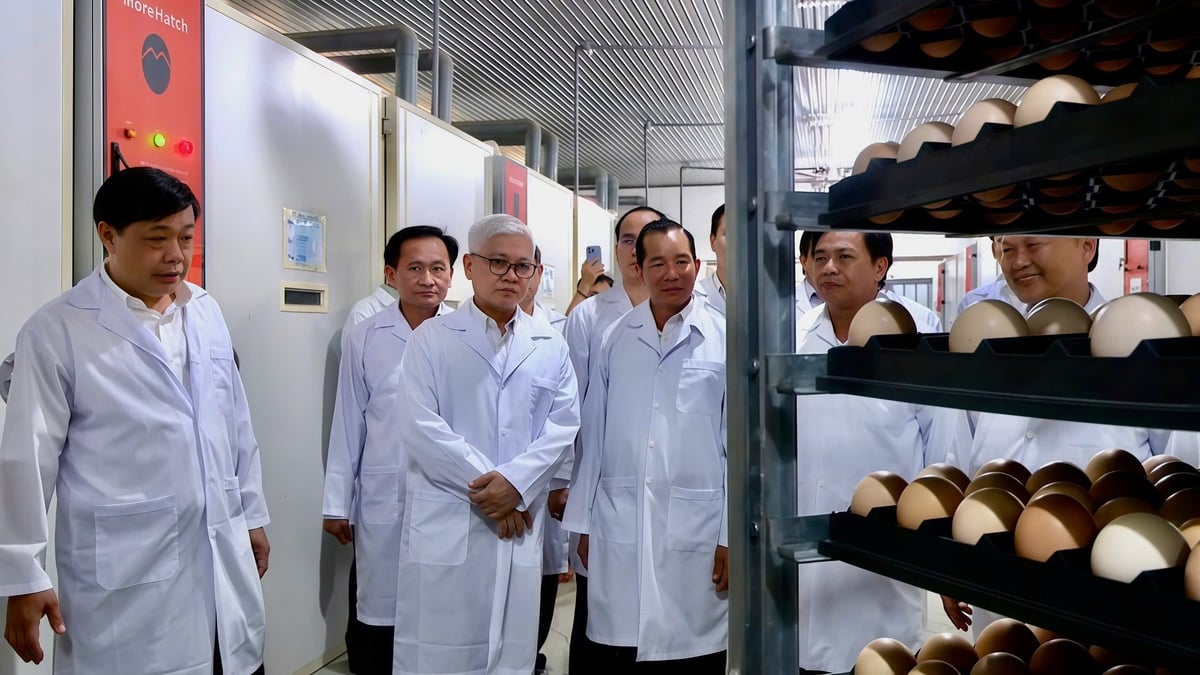 Bí thư Tỉnh ủy Bình Dương Nguyễn Văn Lợi (thứ 2 từ trái sang) đánh giá cao mô hình ứng dụng công nghệ trong chăn nuôi của nông dân tại địa phương. Ảnh: Trần Phi.