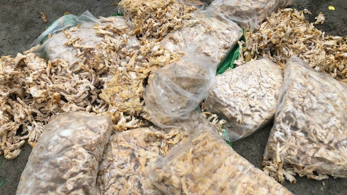 Chân gà không rõ nguồn gốc bị lực lượng chức năng phát hiện, thu giữ. Ảnh: Công an tỉnh Quảng Ninh. Chân gà không rõ nguồn gốc bị lực lượng chức năng phát hiện, thu giữ. Ảnh: Công an tỉnh Quảng Ninh.