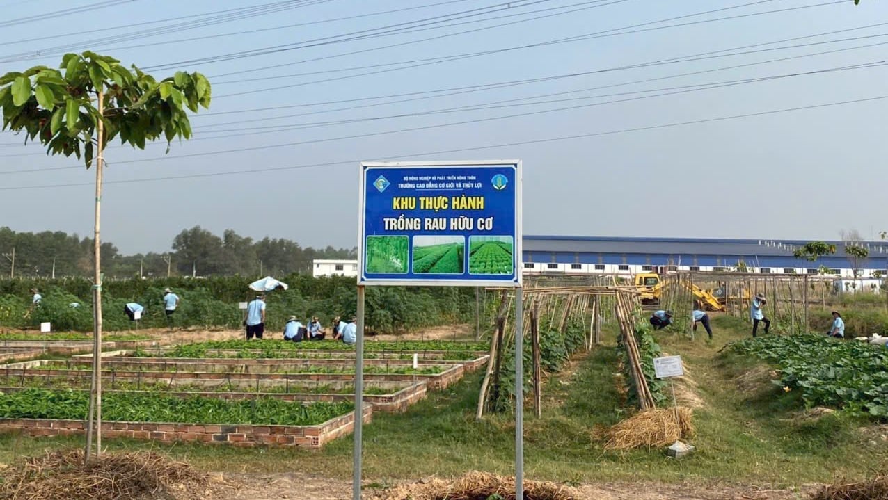 Đồng Nai tập trung đẩy mạnh đào tạo nhân lực chất lượng cao, đáp ứng yêu cầu thị trường lao động, đặc biệt trong lĩnh vực công nghiệp và chuyển dịch cơ cấu kinh tế. Ảnh: Minh Sáng. Đồng Nai tập trung đẩy mạnh đào tạo nhân lực chất lượng cao, đáp ứng yêu cầu thị trường lao động, đặc biệt trong lĩnh vực công nghiệp và chuyển dịch cơ cấu kinh tế. Ảnh: Minh Sáng.