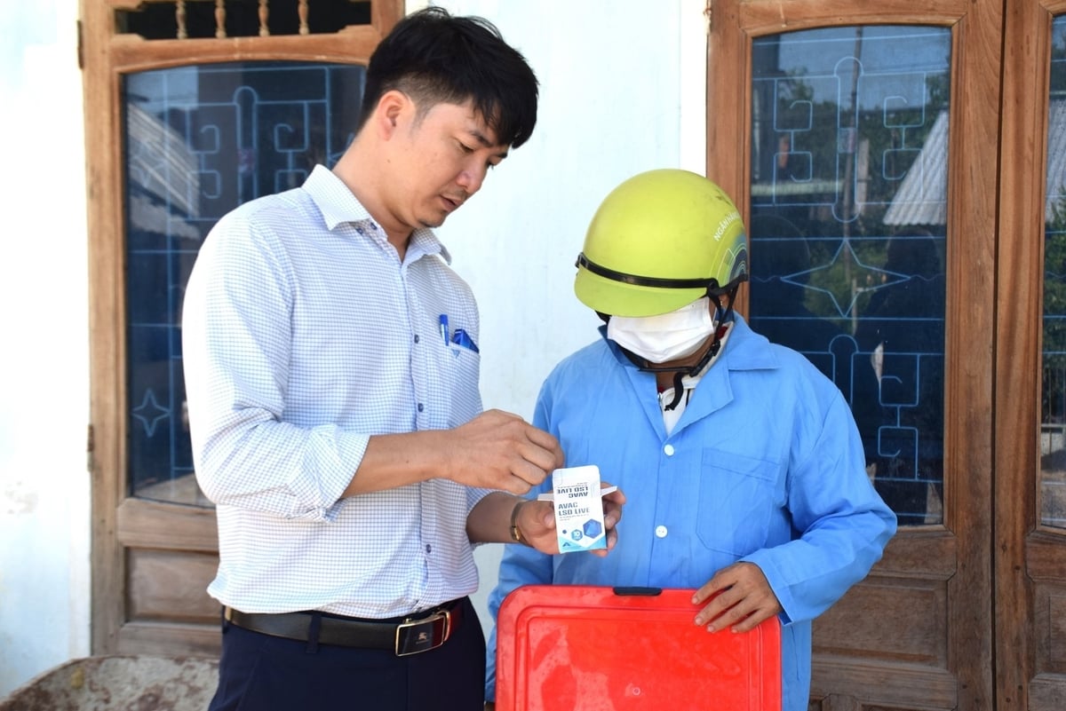 Mỗi năm Bình Định chi ngân sách từ 14-16 tỷ đồng để mua vaccine hỗ trợ các địa phương thực hiện tiêm phòng cho đàn vật nuôi. Ảnh: V.Đ.T. Mỗi năm Bình Định chi ngân sách từ 14-16 tỷ đồng để mua vaccine hỗ trợ các địa phương thực hiện tiêm phòng cho đàn vật nuôi. Ảnh: V.Đ.T.
