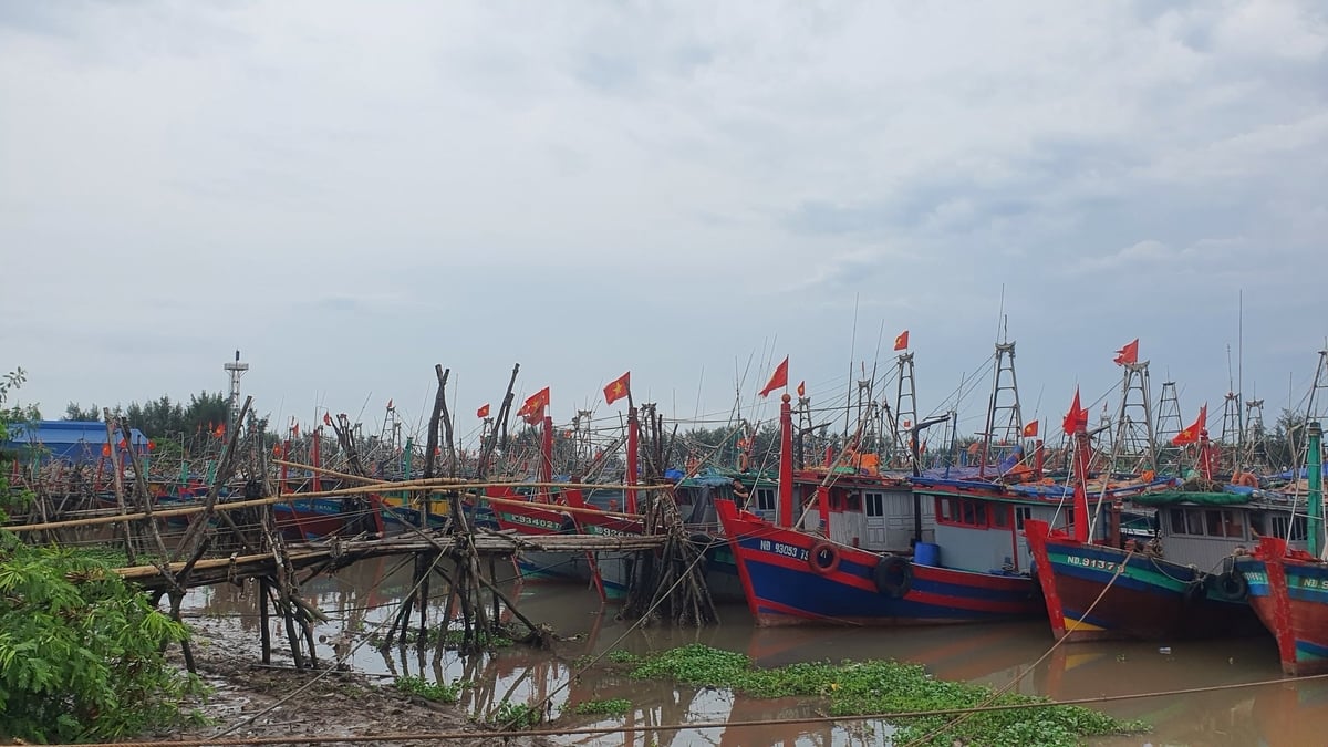 Thuyền bè neo trú trong cống Quần Vinh (huyện Nghĩa Hưng, Nam Định). Thuyền bè neo trú trong cống Quần Vinh (huyện Nghĩa Hưng, Nam Định).