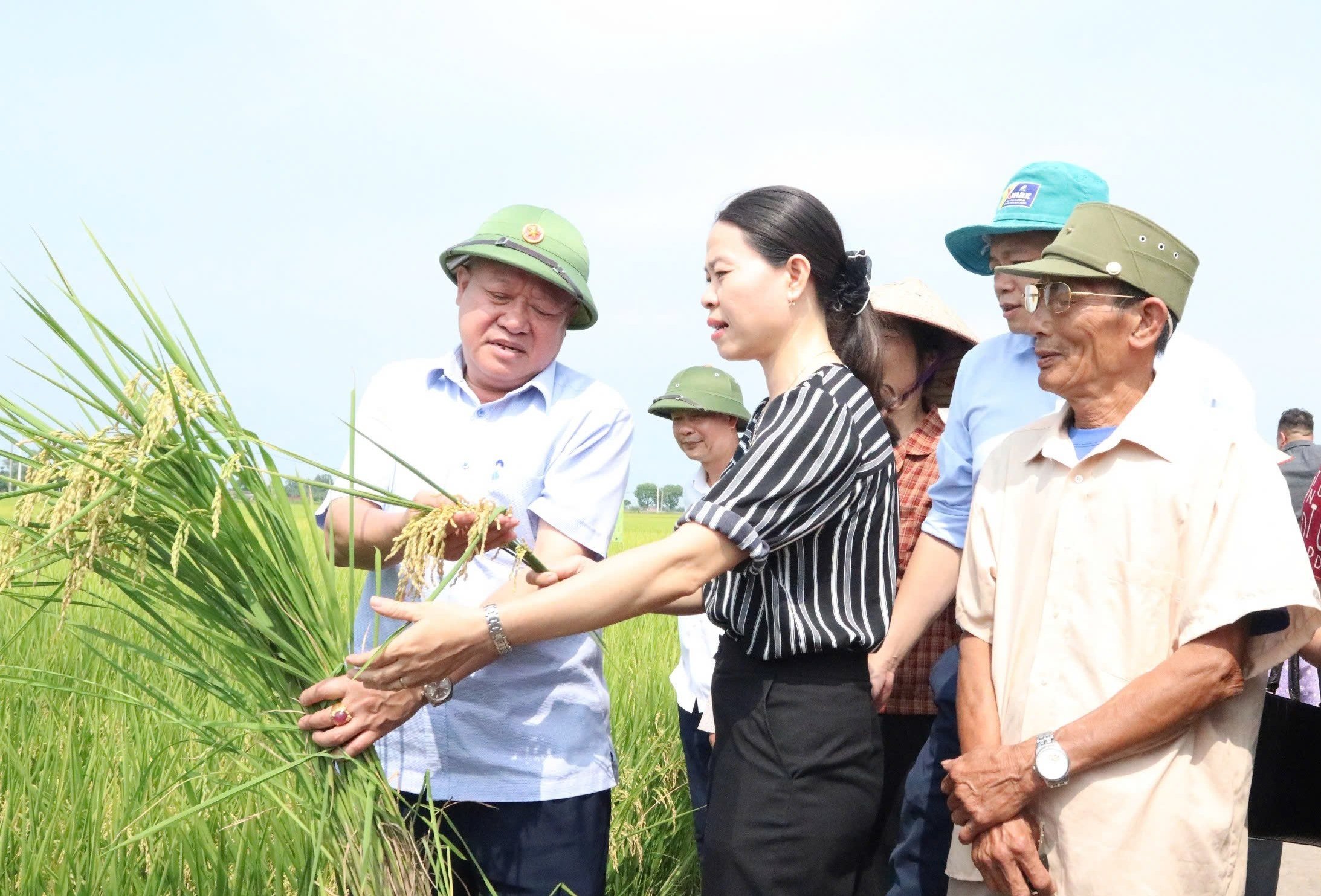 Ông Nguyễn Mạnh Phương, Phó Giám đốc Sở Nông nghiệp và Môi trường Hà Nội (bìa trái) đánh giá cao mô hình khi đạt cả 3 mục tiêu: Tăng năng suất, tăng hiệu quả kinh tế, giảm chi phí đầu vào. Ảnh: Hoài Thơ. 