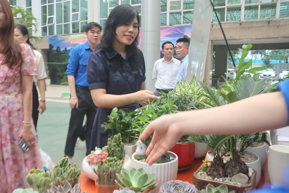 Đồng chí Nguyễn Thị Yến - Phó Chánh Văn phòng Đảng ủy Bộ tham quan gian hàng đổi rác lấy cây. Ảnh: Hoàng Hiền. Đồng chí Nguyễn Thị Yến - Phó Chánh Văn phòng Đảng ủy Bộ tham quan gian hàng đổi rác lấy cây. Ảnh: Hoàng Hiền.
