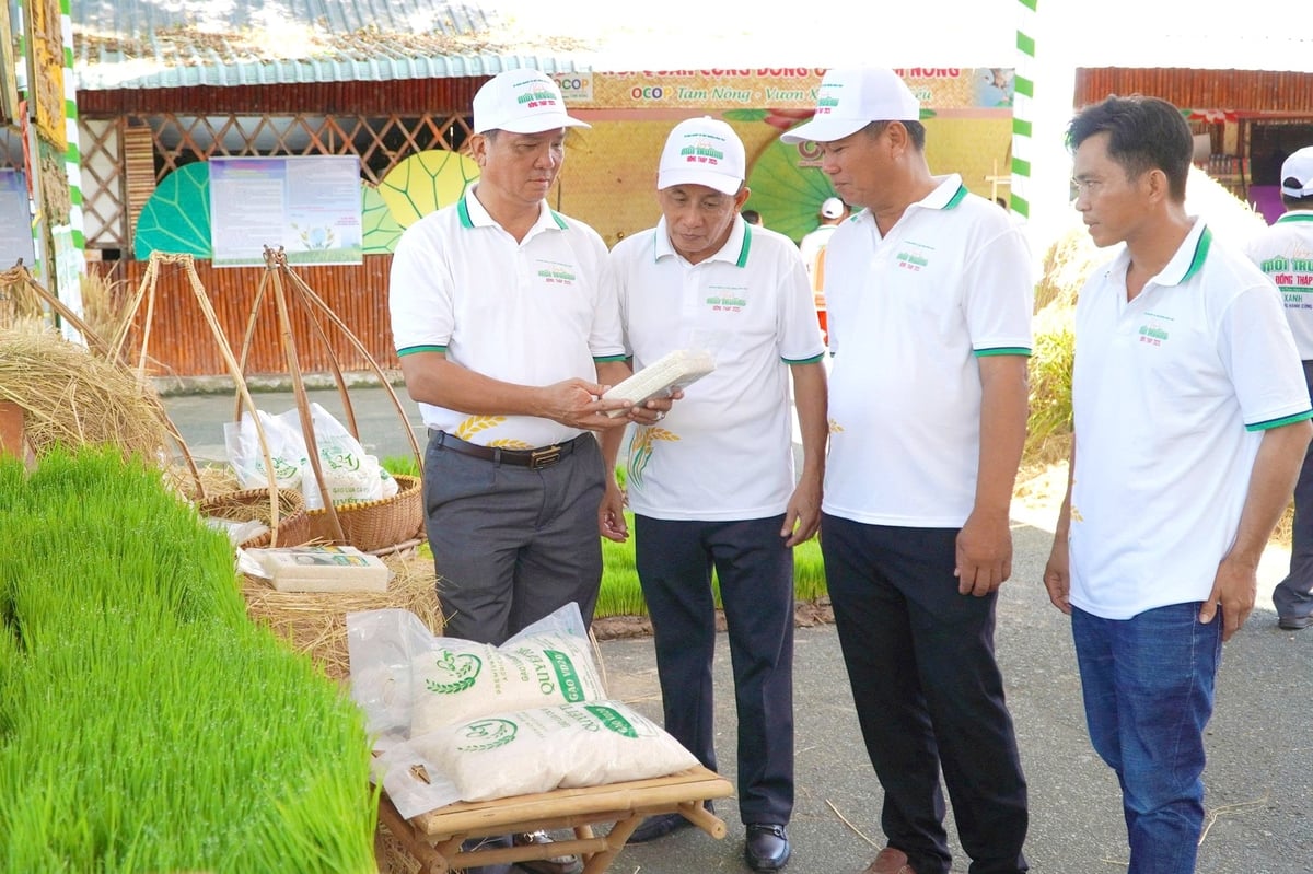 Đại biểu tham quan không gian tuyên truyền Đề án phát triển 1 triệu ha lúa chất lượng cao phát thải thấp, kết hợp với các mô hình nông nghiệp sinh thái và tuần hoàn. Ảnh: Lê Hoàng Vũ. Đại biểu tham quan không gian tuyên truyền Đề án phát triển 1 triệu ha lúa chất lượng cao phát thải thấp, kết hợp với các mô hình nông nghiệp sinh thái và tuần hoàn. Ảnh: Lê Hoàng Vũ.