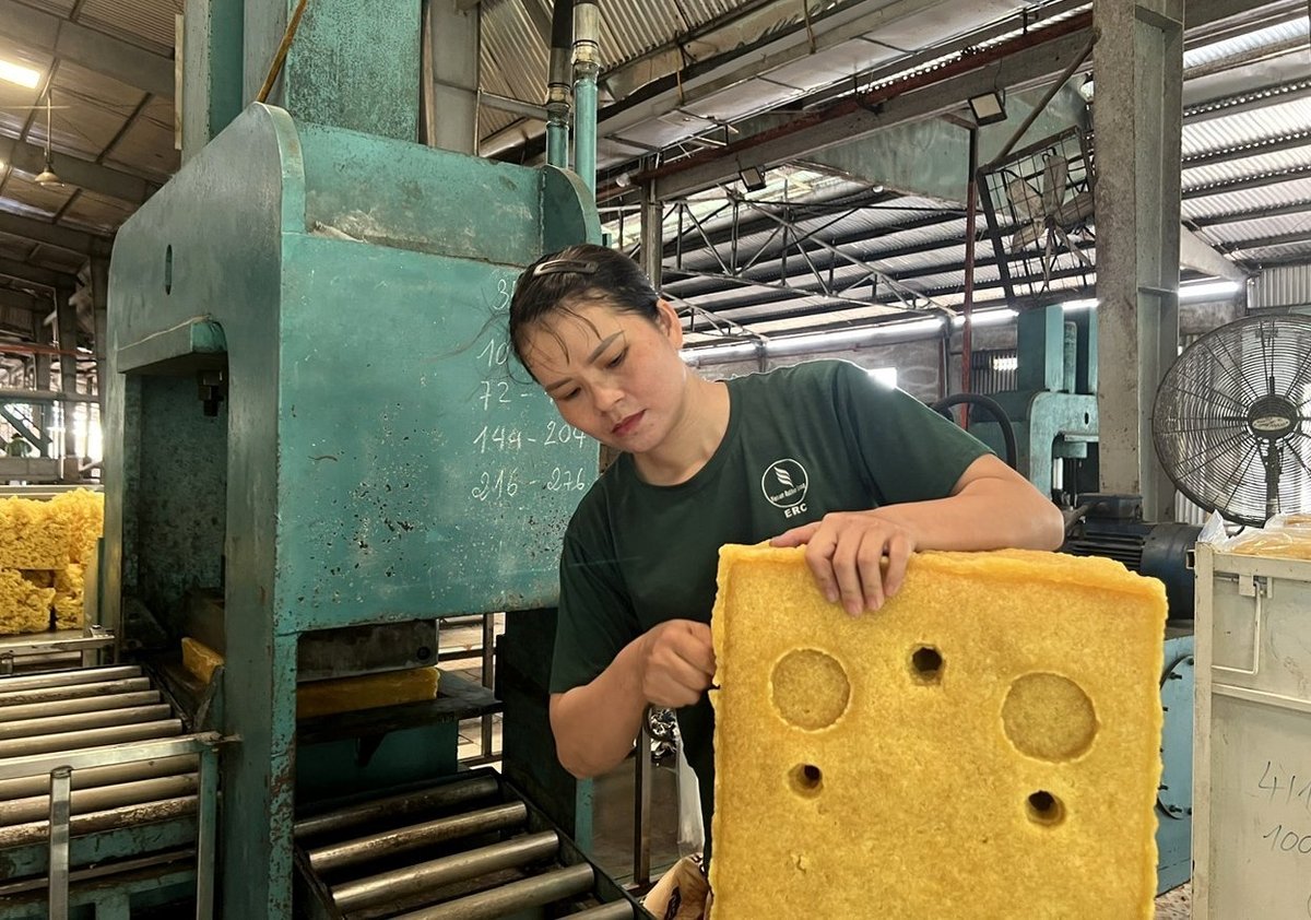 Rubber processing at a VRG facility. Photo: Son Trang.