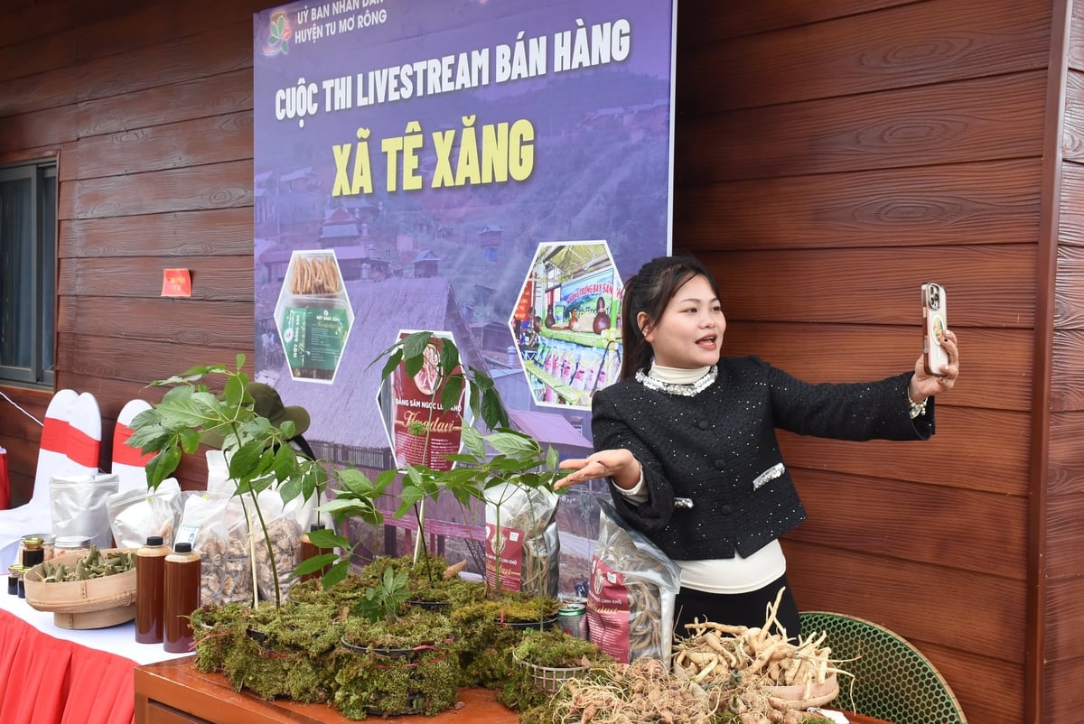 Người dân livestream giới thiệu sản phẩm sâm Ngọc Linh. Ảnh: Tuấn Anh. Người dân livestream giới thiệu sản phẩm sâm Ngọc Linh. Ảnh: Tuấn Anh.