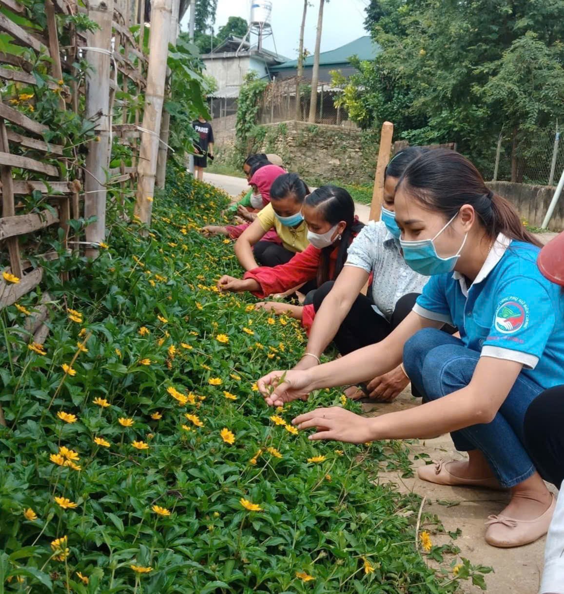 Phụ nữ bản Bó Én trồng chăm sóc con đường hoa. Ảnh: Hoàng Châu. Phụ nữ bản Bó Én trồng chăm sóc con đường hoa. Ảnh: Hoàng Châu.