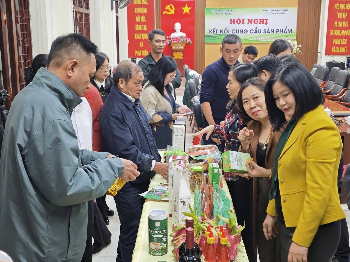 Các sản phẩm OCOP ở tỉnh Bình Thuận được tổ chức kết nối cung cầu. Ảnh: HB. Các sản phẩm OCOP ở tỉnh Bình Thuận được tổ chức kết nối cung cầu. Ảnh: HB.
