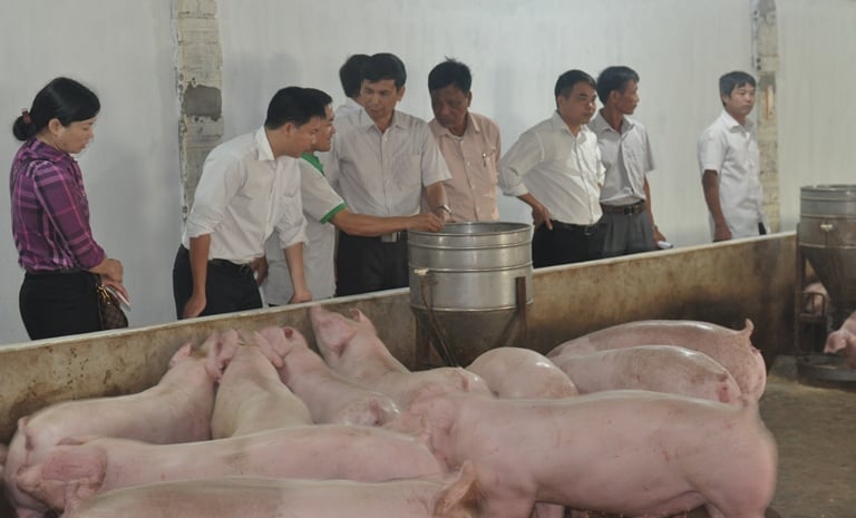 Truy xuất nguồn gốc giúp cơ quan quản lý xác định nhanh chóng lô sản phẩm, cơ sở chăn nuôi liên quan đến các nguy cơ không đạt chuẩn, từ đó giảm thiểu thiệt hại kinh tế và rủi ro sức khỏe cộng đồng. Ảnh: Bacninh.gov.vn. Truy xuất nguồn gốc giúp cơ quan quản lý xác định nhanh chóng lô sản phẩm, cơ sở chăn nuôi liên quan đến các nguy cơ không đạt chuẩn, từ đó giảm thiểu thiệt hại kinh tế và rủi ro sức khỏe cộng đồng. Ảnh: Bacninh.gov.vn.
