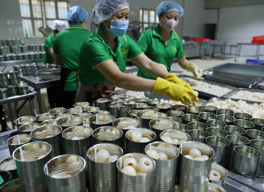 Nâng cao năng lực SPS giúp hàng hóa hai nước dễ tiếp cận thị trường của nhau hơn. Ảnh: minh họa. Nâng cao năng lực SPS giúp hàng hóa hai nước dễ tiếp cận thị trường của nhau hơn. Ảnh: minh họa.