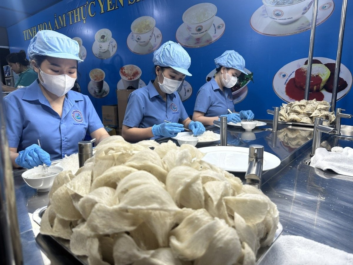 Nghề yến sào đã tồn tại gần 700 năm trên vùng biển, đảo Khánh Hòa. Ảnh: PC.