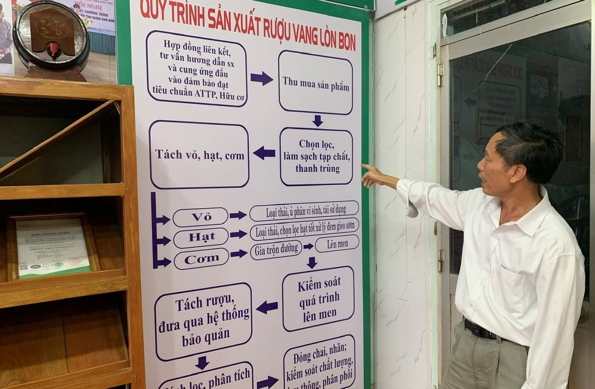 Đại diện HTX Phước Tuyên giới thiệu quy trình sản xuất rượu lòn bon. Ảnh: Lan Anh.
