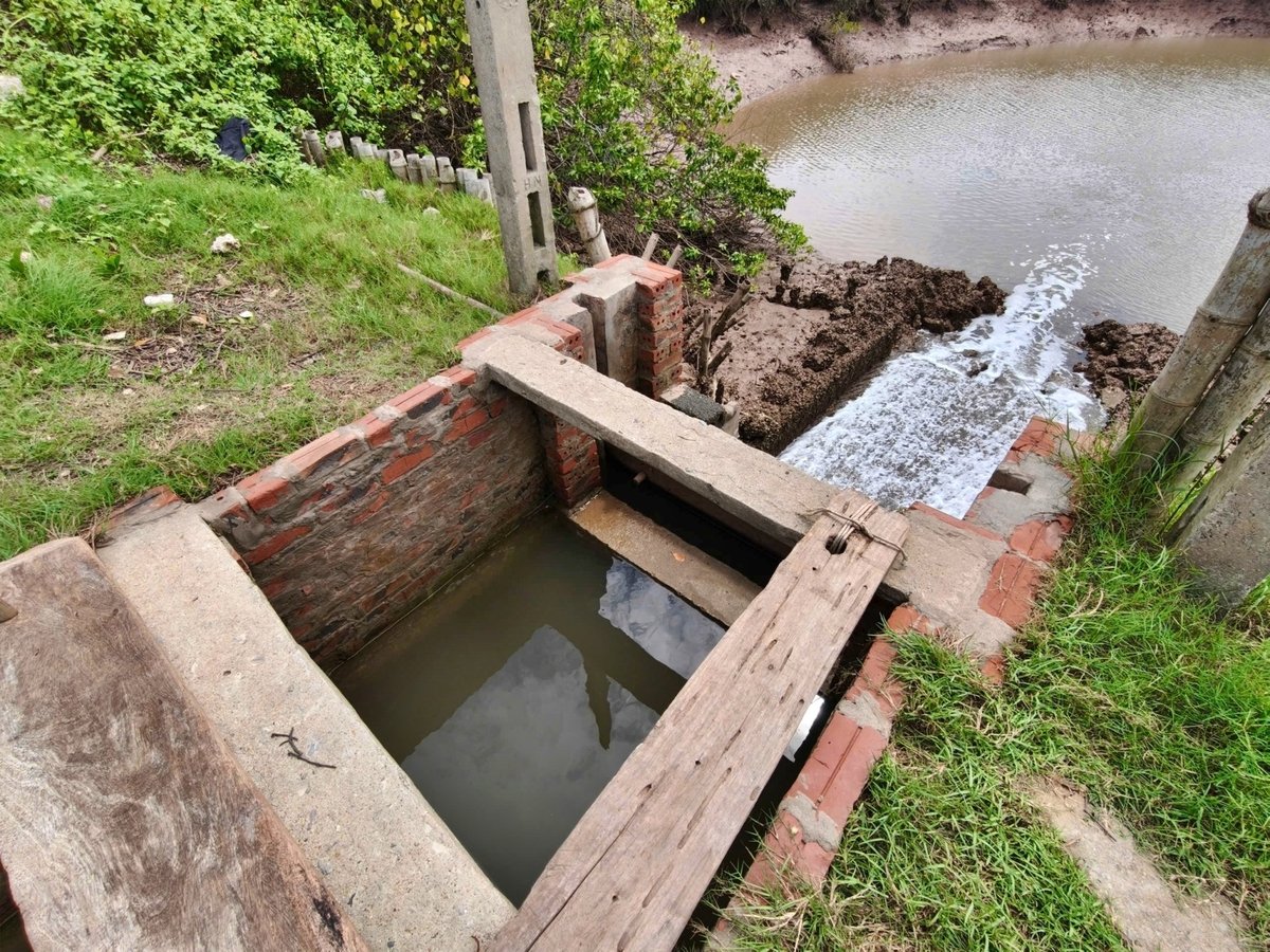 Một chiếc cống xả nước giữa đầm nuôi tôm và phía ngoài biển. Ảnh: Bảo Thắng. Một chiếc cống xả nước giữa đầm nuôi tôm và phía ngoài biển. Ảnh: Bảo Thắng.