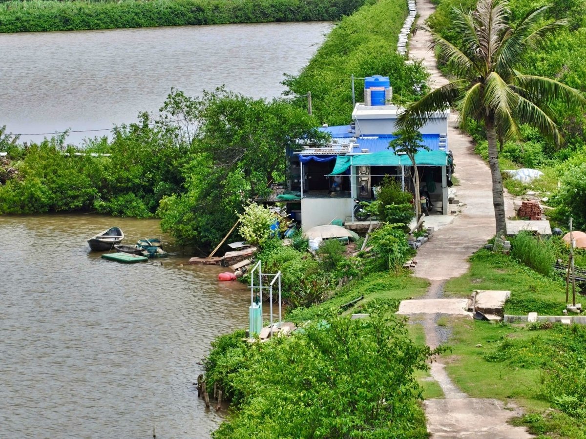 Chỗ ở của Huấn nhìn từ trên cao. Ảnh: Bảo Thắng. Chỗ ở của Huấn nhìn từ trên cao. Ảnh: Bảo Thắng.