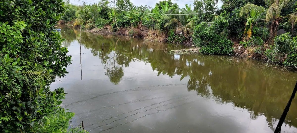 Dòng nước đen đã được xử lý ổn thỏa. Ảnh: Minh Đảm. Dòng nước đen đã được xử lý ổn thỏa. Ảnh: Minh Đảm.