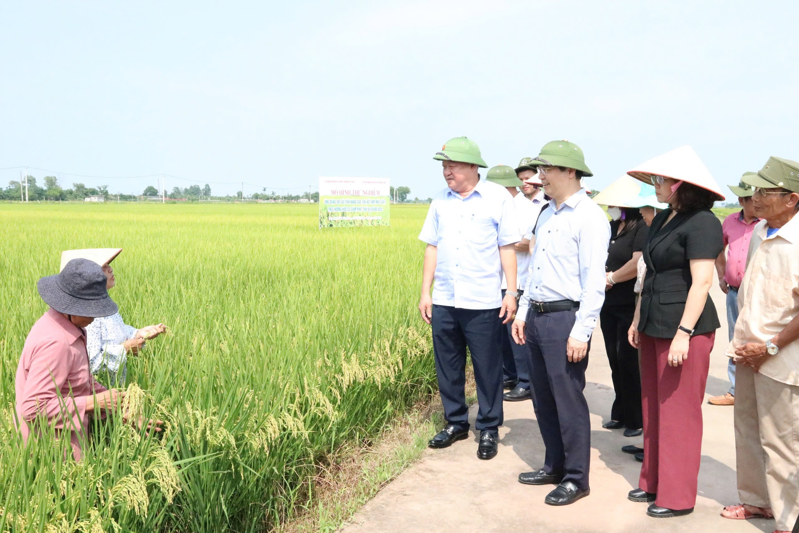 Đoàn công tác Sở Nông nghiệp và Môi trường Hà Nội đánh giá hiệu quả vùng canh tác lúa tại huyện Mê Linh. Ảnh: Hoài Thơ. 