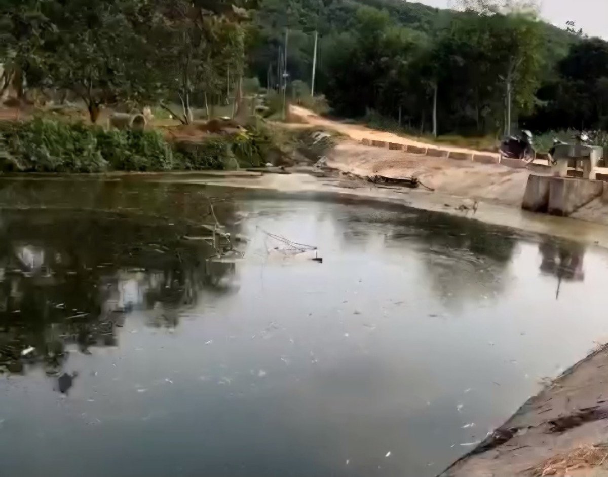 Nước trong ao, gần đập Trà Bối có màu đen, nổi váng bốc mùi thối. Ảnh cắt từ clip.