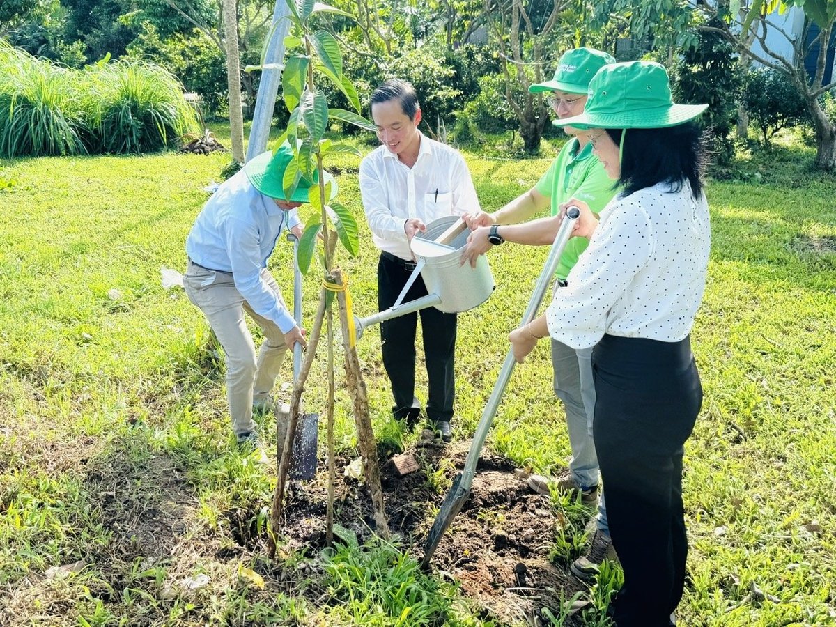 Năm 2025, TP Cần Thơ đặt ra mục tiêu trồng từ 1.351.000 đến 1.414.800 cây xanh phân tán, riêng trong thời gian phát động phong trào 'Tết trồng cây' sẽ trồng khoảng 30.000 cây tại 9 quận, huyện. Ảnh: Lê Hoàng Vũ. Năm 2025, TP Cần Thơ đặt ra mục tiêu trồng từ 1.351.000 đến 1.414.800 cây xanh phân tán, riêng trong thời gian phát động phong trào 'Tết trồng cây' sẽ trồng khoảng 30.000 cây tại 9 quận, huyện. Ảnh: Lê Hoàng Vũ.