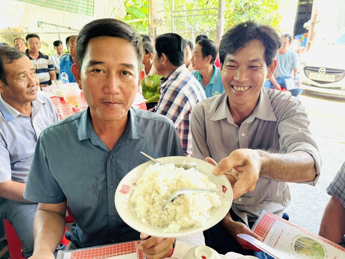 Hưng Long 555 cho hạt gạo trắng trong, cơm mềm dẻo, để nguội vẫn không khô, được nông dân ưa chuộng. Ảnh: Lê Hoàng Vũ.
