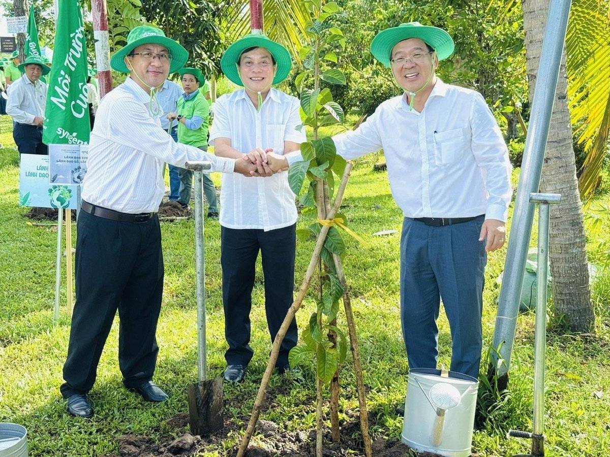 Riêng trong năm 2025 Syngenta đồng hành cùng Sở Nông nghiệp và Môi trường TP Cần Thơ thực hiện trồng gần 1.200 cây xanh như bằng lăng, bằng lăng tím, sao đen, bướm hồng.... Ảnh: Lê Hoàng Vũ. Riêng trong năm 2025 Syngenta đồng hành cùng Sở Nông nghiệp và Môi trường TP Cần Thơ thực hiện trồng gần 1.200 cây xanh như bằng lăng, bằng lăng tím, sao đen, bướm hồng.... Ảnh: Lê Hoàng Vũ.