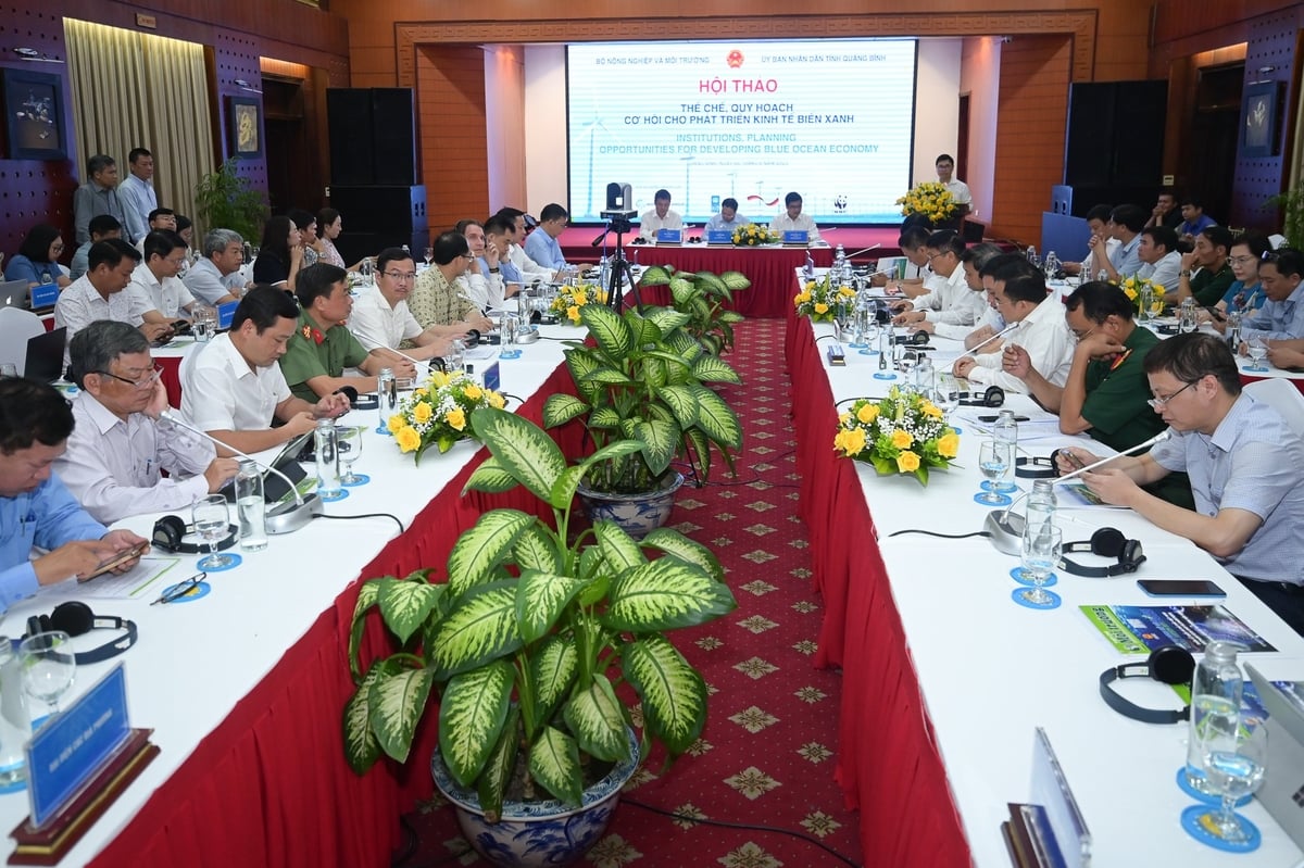 Hội thảo 'Thể chế, quy hoạch cơ hội cho phát triển kinh tế biển xanh' tại Quảng Bình sáng 6/6. Ảnh: Tùng Đinh.