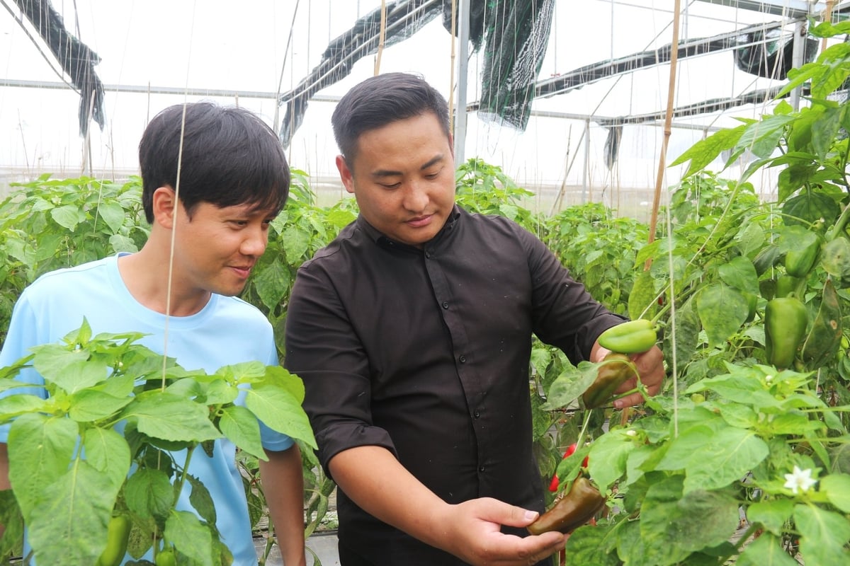 Theo anh Đặng Ngọc Thành (trái), nông sản của Dako Farm đủ tiêu chuẩn để xuất khẩu sang thị trường Hàn Quốc. Ảnh: Phạm Hiếu. Theo anh Đặng Ngọc Thành (trái), nông sản của Dako Farm đủ tiêu chuẩn để xuất khẩu sang thị trường Hàn Quốc. Ảnh: Phạm Hiếu.