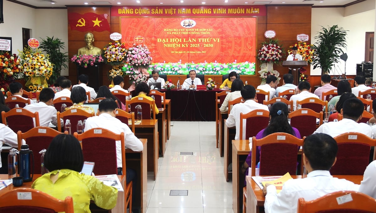 Đại hội Đảng bộ Cục Kinh tế hợp tác và Phát triển nông thôn lần thứ VI, nhiệm kỳ 2025 - 2030. Ảnh: Phạm Hiếu. Đại hội Đảng bộ Cục Kinh tế hợp tác và Phát triển nông thôn lần thứ VI, nhiệm kỳ 2025 - 2030. Ảnh: Phạm Hiếu.