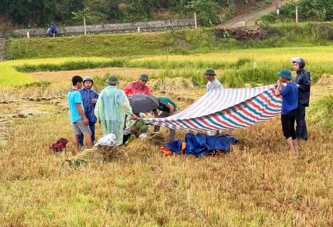 6 người dân tử vong do sét đánh hầu hết đang đi làm đồng. Ảnh: Người dân cung cấp.