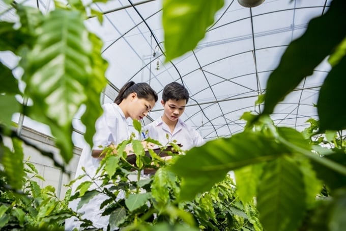 Sinh viên đã tốt nghiệp đại học loại xuất sắc và loại giỏi có thể đăng ký học thẳng tiến sỹ ở ngành phù hợp. Ảnh: VNUA Sinh viên đã tốt nghiệp đại học loại xuất sắc và loại giỏi có thể đăng ký học thẳng tiến sỹ ở ngành phù hợp. Ảnh: VNUA