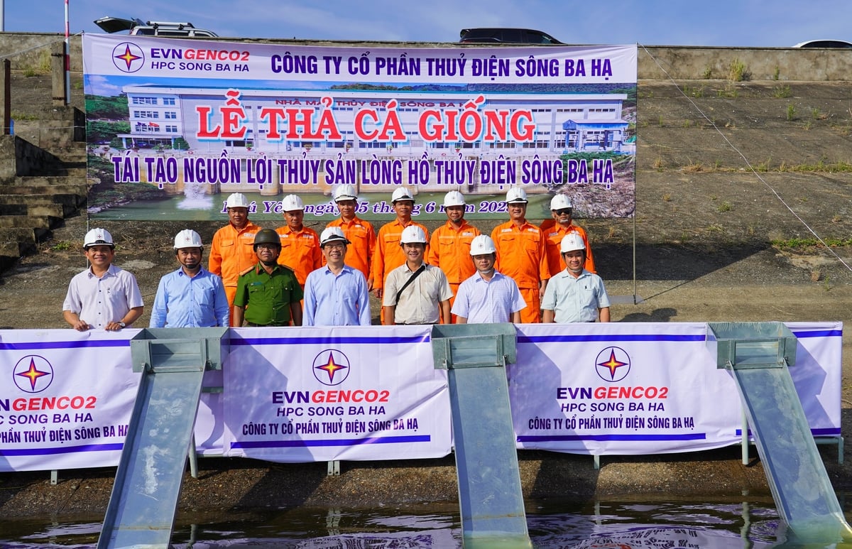 Công ty Thủy điện Sông Ba Hạ tổ chức thả cá giống tái tạo nguồn lợi lòng hồ thủy điện Sông Ba Hạ. Ảnh: HT. Công ty Thủy điện Sông Ba Hạ tổ chức thả cá giống tái tạo nguồn lợi lòng hồ thủy điện Sông Ba Hạ. Ảnh: HT.