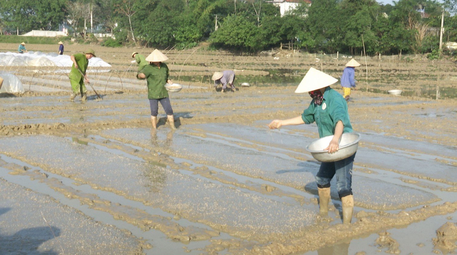 Các lĩnh vực sản xuất nông nghiệp đều gắn bó mật thiết với thời tiết, khí hậu, thủy văn. Ảnh: NTM Hà Tĩnh. Các lĩnh vực sản xuất nông nghiệp đều gắn bó mật thiết với thời tiết, khí hậu, thủy văn. Ảnh: NTM Hà Tĩnh.