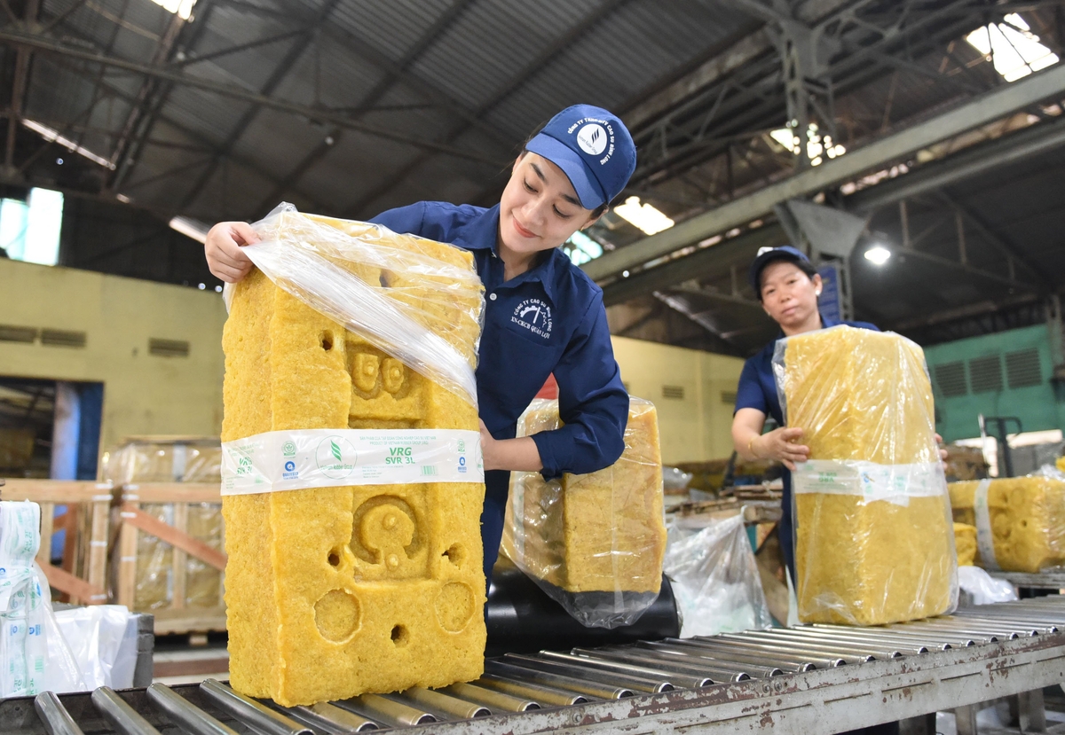Chế biến cao su tại một nhà máy của VRG. Ảnh: VRG. Chế biến cao su tại một nhà máy của VRG. Ảnh: VRG.