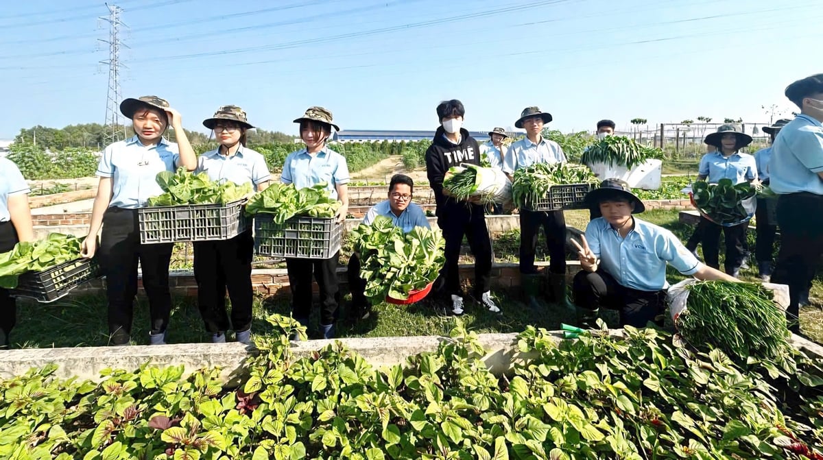 Các trường tại tỉnh Đồng Nai đang đẩy mạnh triển khai đào tạo theo hình thức đặt hàng từ doanh nghiệp. Ảnh: Minh Sáng. Các trường tại tỉnh Đồng Nai đang đẩy mạnh triển khai đào tạo theo hình thức đặt hàng từ doanh nghiệp. Ảnh: Minh Sáng.