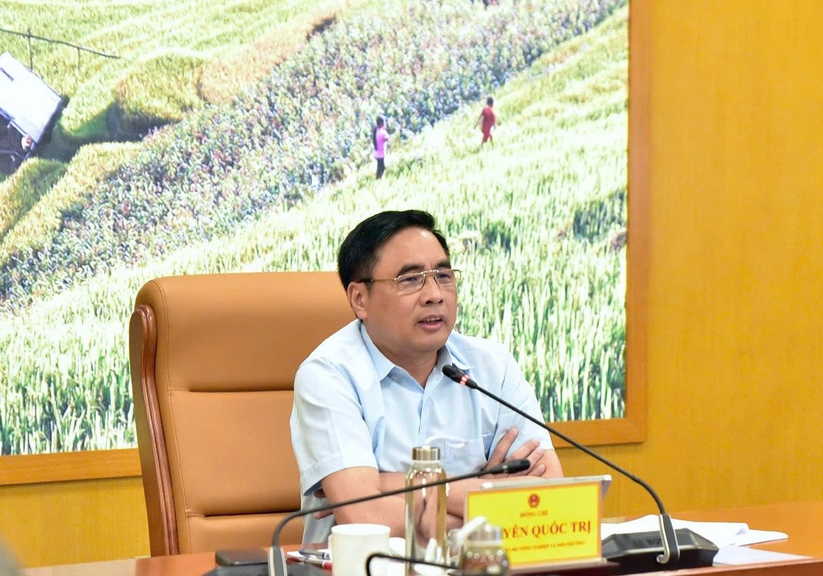 Thứ trưởng Nguyễn Quốc Trị bàn về kết quả công tác ngành lâm nghiệp 5 tháng đầu năm và triển khai kế hoạch nhiệm vụ trọng tâm T6/2025. Ảnh: Kiều Chi. Thứ trưởng Nguyễn Quốc Trị bàn về kết quả công tác ngành lâm nghiệp 5 tháng đầu năm và triển khai kế hoạch nhiệm vụ trọng tâm T6/2025. Ảnh: Kiều Chi.