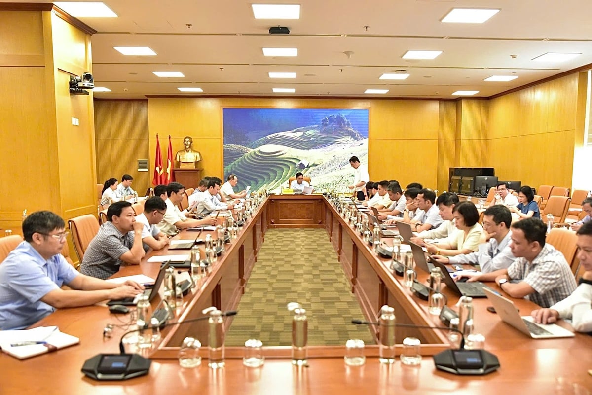 Cuộc họp giao ban khối lâm nghiệp tại trụ sở Bộ Nông nghiệp và Môi trường, sáng 6/6. Ảnh: Kiều Chi. Cuộc họp giao ban khối lâm nghiệp tại trụ sở Bộ Nông nghiệp và Môi trường, sáng 6/6. Ảnh: Kiều Chi.