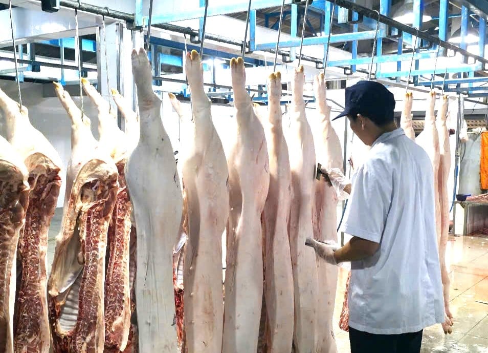 Giết mổ an toàn vệ sinh thực phẩm cung cấp nguồn thịt sạch cho người tiêu dùng. Ảnh: Minh Đảm. Giết mổ an toàn vệ sinh thực phẩm cung cấp nguồn thịt sạch cho người tiêu dùng. Ảnh: Minh Đảm.