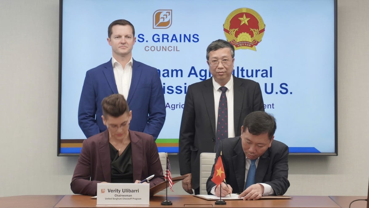 Chủ tịch kiêm CEO Ryan LeGrand và Thứ trưởng Hoàng Trung chứng kiến Lễ ký MOU giữa Hội đồng Ngũ cốc Hoa Kỳ và Đối tác phát triển bền vững nông nghiệp Việt Nam (PSAV). Ảnh: Đoàn công tác. 