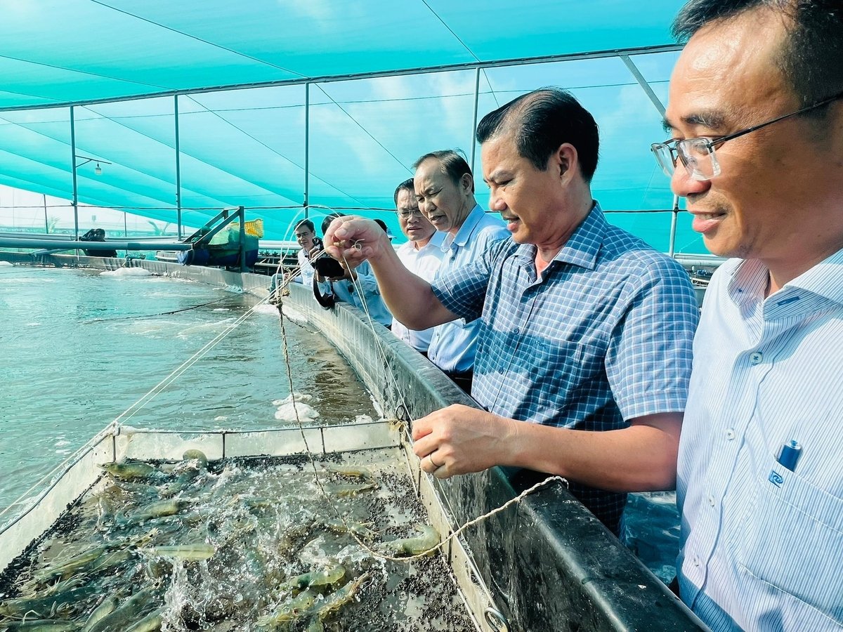 Thứ trưởng Bộ Nông nghiệp và Môi trường Phùng Đức Tiến tham quan mô hình nuôi tôm công nghệ cao của Công ty Long Mạnh. Ảnh: Trọng Linh.
