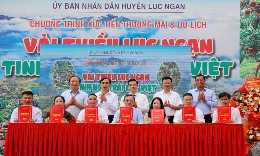 Các đại biểu chứng kiến lễ ký kết văn bản ghi nhớ hợp tác trong sản xuất, tiêu thụ vải thiều. Ảnh: Phạm Minh. Các đại biểu chứng kiến lễ ký kết văn bản ghi nhớ hợp tác trong sản xuất, tiêu thụ vải thiều. Ảnh: Phạm Minh.