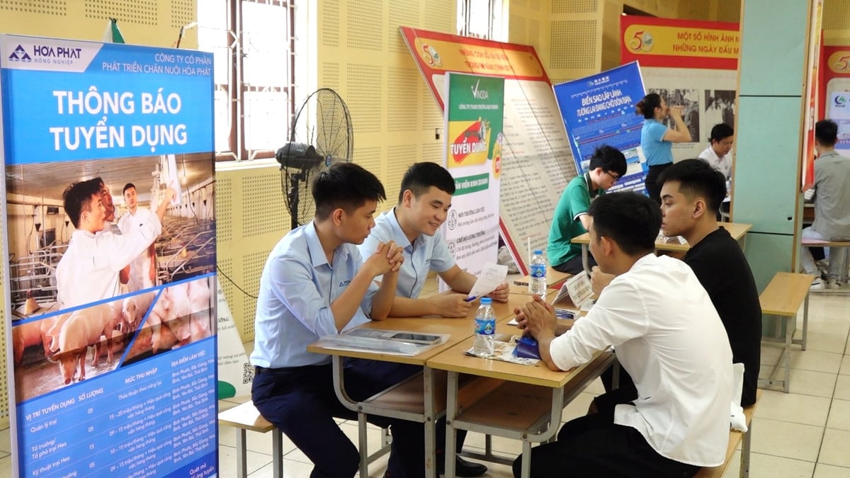 Trường Đại học Nông lâm Thái Nguyên thường xuyên tổ chức ngày hội việc làm. Ảnh: Quang Linh. Trường Đại học Nông lâm Thái Nguyên thường xuyên tổ chức ngày hội việc làm. Ảnh: Quang Linh.