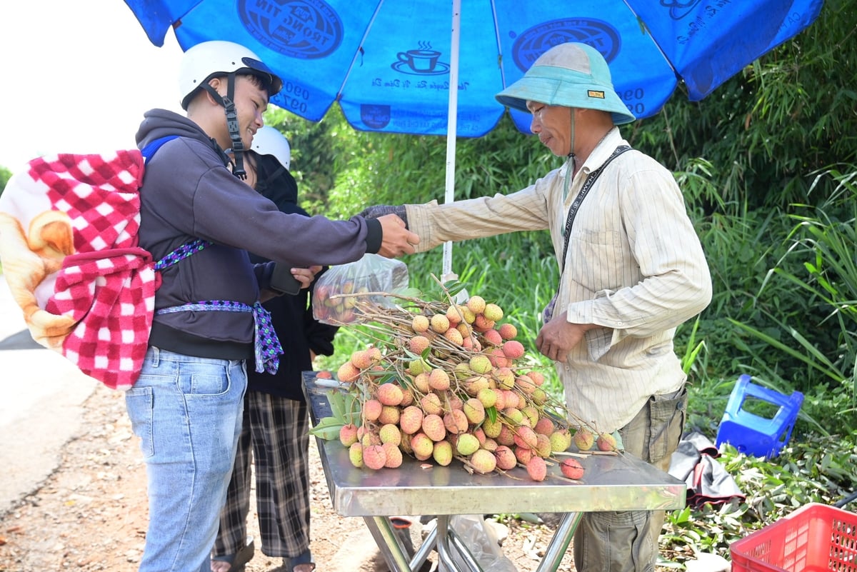 Nhiều hộ dân ngoài việc nhập cho thương lái còn trực tiếp đưa trái cây bán cho người đi đường để tăng thu nhập. Ảnh: Phạm Hoài. Nhiều hộ dân ngoài việc nhập cho thương lái còn trực tiếp đưa trái cây bán cho người đi đường để tăng thu nhập. Ảnh: Phạm Hoài.