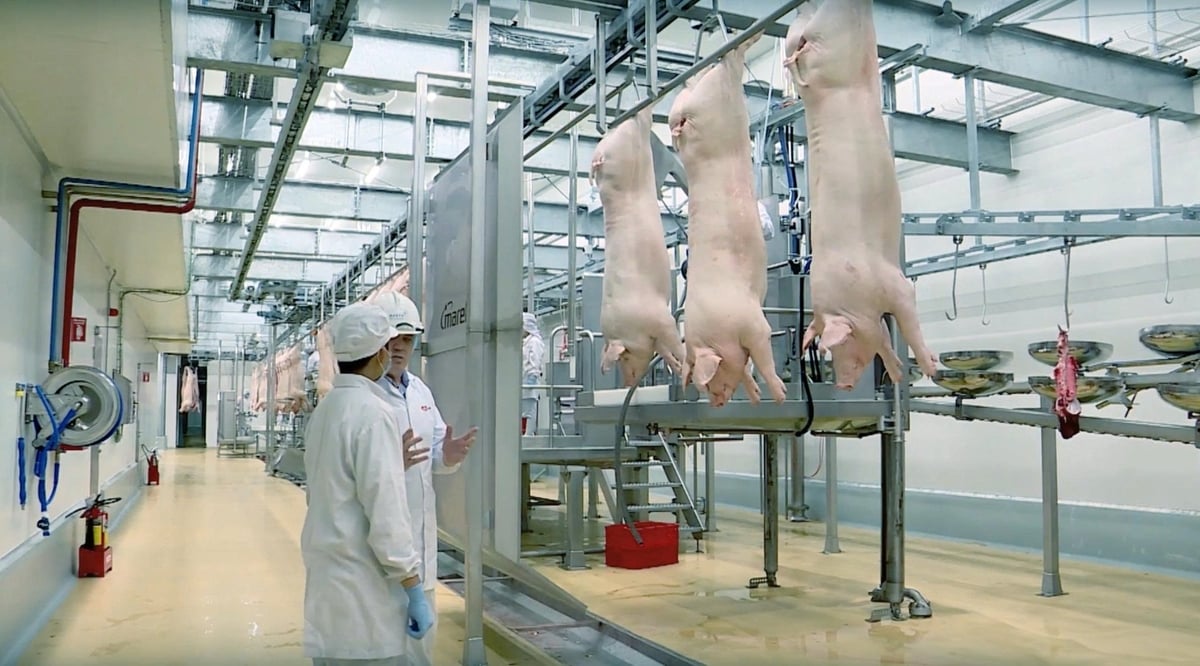Dây chuyền sản xuất thịt ủ mát MEATDeli do Marel - công ty hàng đầu thế giới về thiết bị giết mổ, chế biến thịt của Hà Lan cung cấp.