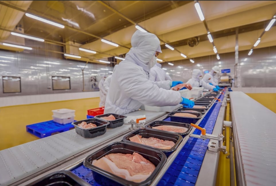 Dây chuyền đóng gói tự động thịt ủ mát MEATDeli.