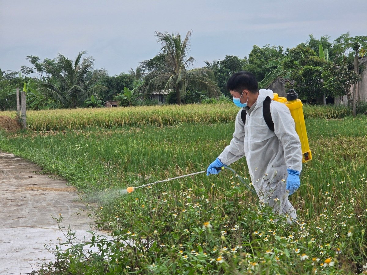 Công tác phòng, chống dịch được các đơn vị, địa phương tại Hải Phòng triển khai chủ động. Ảnh: Đinh Mười.