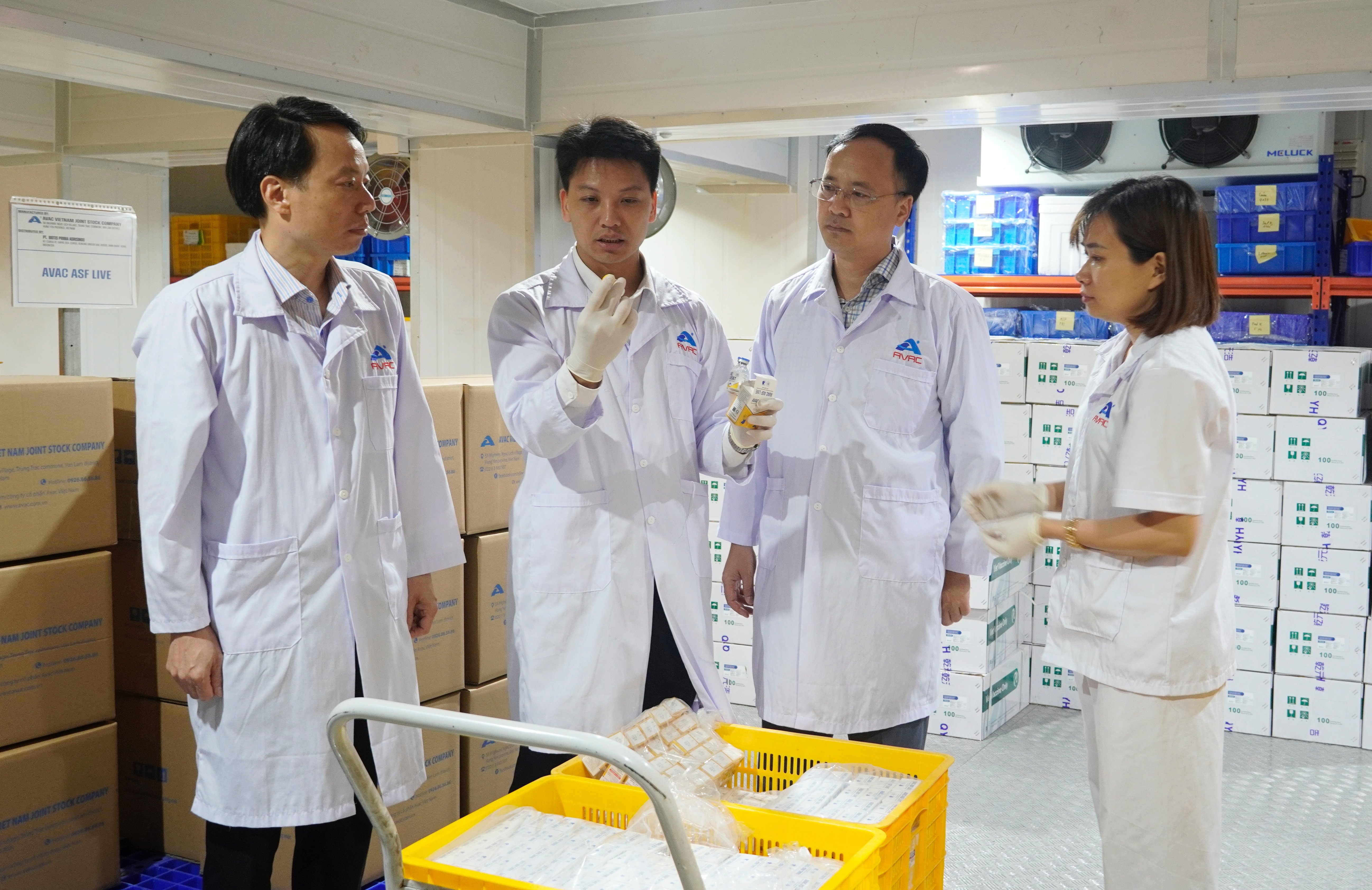 Kiểm tra vaccine AVAC ASF LIVE trước khi xuất khẩu sang Indonesia. Ảnh: Hồng Thắm. Kiểm tra vaccine AVAC ASF LIVE trước khi xuất khẩu sang Indonesia. Ảnh: Hồng Thắm.