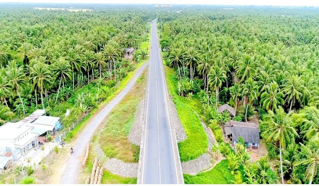 Trà Vinh đang triển khai nhiều biện pháp để phòng trừ sâu đầu đen hại dừa. Ảnh: Phạm Tiếng. Trà Vinh đang triển khai nhiều biện pháp để phòng trừ sâu đầu đen hại dừa. Ảnh: Phạm Tiếng.