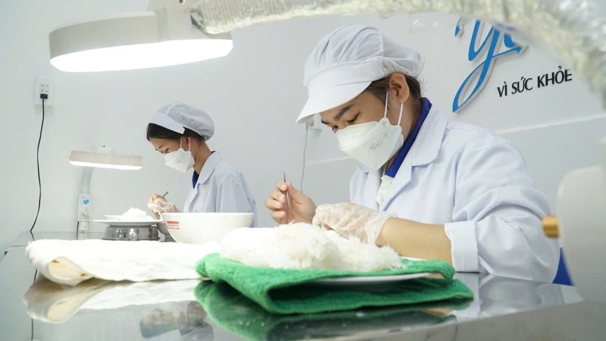 Tây Ninh tập trung xây dựng chuỗi liên kết sản phẩm, trong đó doanh nghiệp chế biến và tiêu thụ đóng vai trò then chốt. Ảnh: Trần Trung. Tây Ninh tập trung xây dựng chuỗi liên kết sản phẩm, trong đó doanh nghiệp chế biến và tiêu thụ đóng vai trò then chốt. Ảnh: Trần Trung.