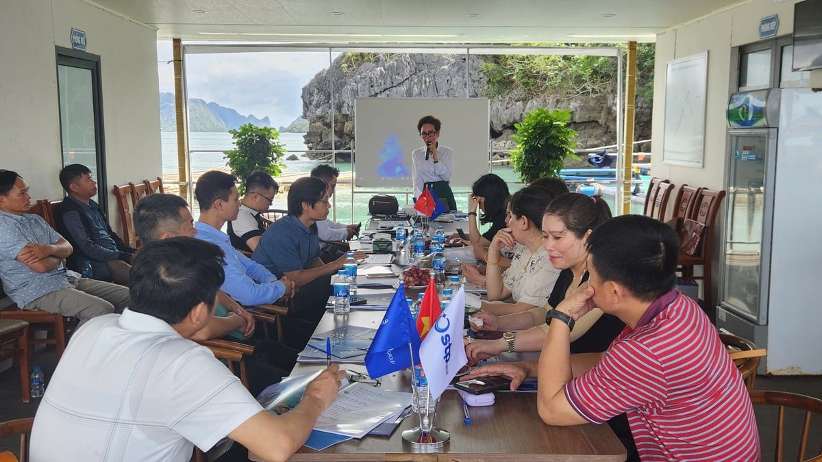 STP Group phối hợp cùng Viện Nghiên cứu Hải sản chia sẻ kiến thức kỹ thuật và thực tế sản xuất rong sụn cho các hộ nuôi biển. Ảnh: Nguyễn Thành. STP Group phối hợp cùng Viện Nghiên cứu Hải sản chia sẻ kiến thức kỹ thuật và thực tế sản xuất rong sụn cho các hộ nuôi biển. Ảnh: Nguyễn Thành.