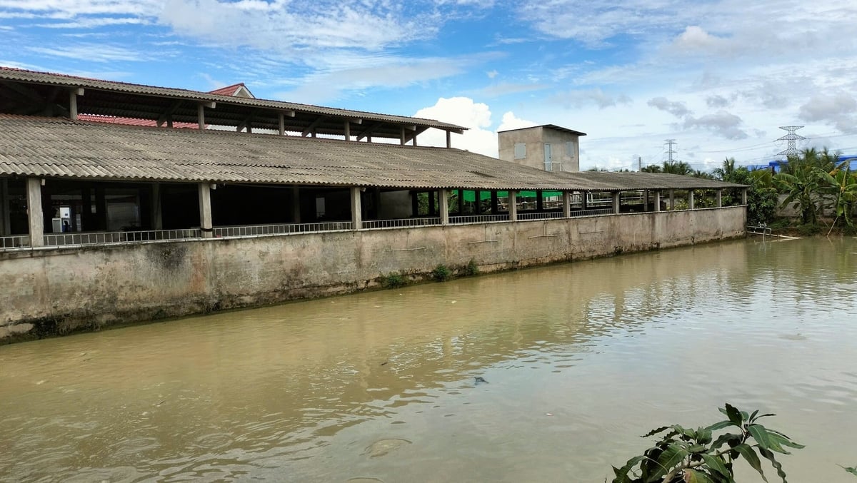 Nước thải ra ao lắng đảm bảo tiêu chuẩn môi trường. Ảnh: Minh Đảm. Nước thải ra ao lắng đảm bảo tiêu chuẩn môi trường. Ảnh: Minh Đảm.