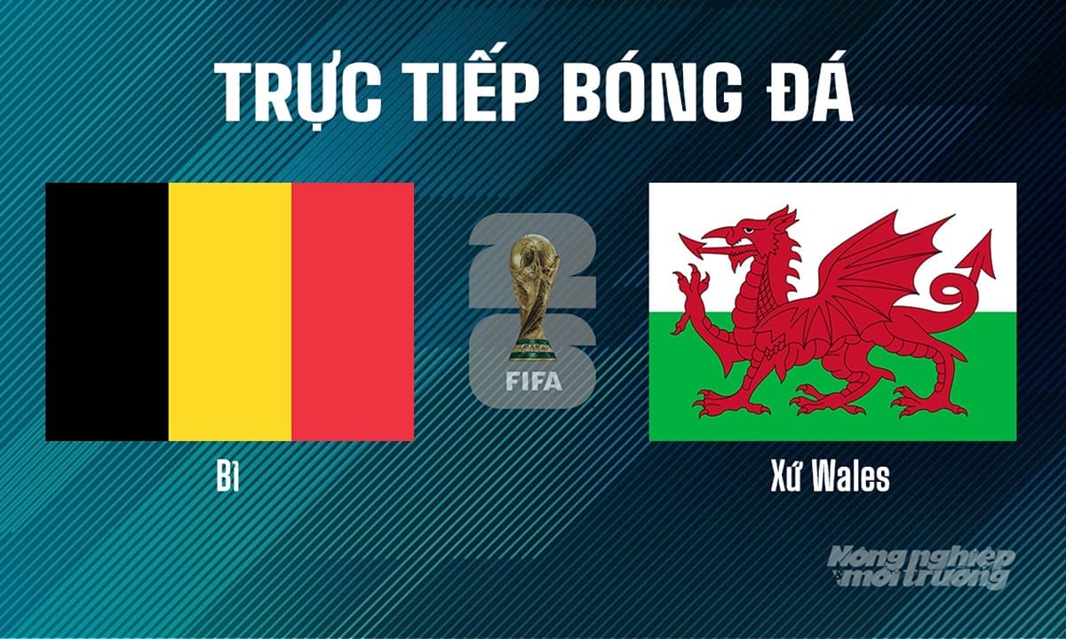 Trực tiếp bóng đá tại vòng loại World Cup 2026 giữa Bỉ vs Xứ Wales ngày 10/6/2025 Trực tiếp bóng đá tại vòng loại World Cup 2026 giữa Bỉ vs Xứ Wales ngày 10/6/2025